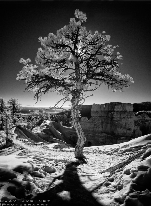 In a Different Light 38985f5366ff2f9f0eb7f4a84f412a601 40 Beautiful Examples of Black & White Photography