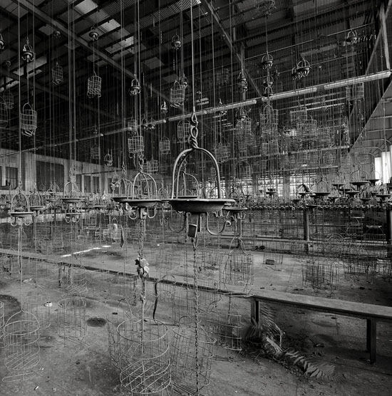 You Figure it Out You Figure it Out 40 Beautiful Examples of Black & White Photography