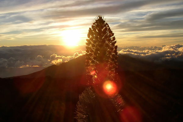 Ahinahina Sunrise Ahinahina Sunrise 30 Beautiful Examples of Sunrise Photography