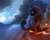 cat