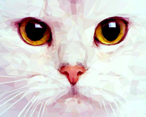 polygon art