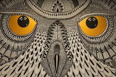 Hootsuite Owl (1)