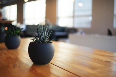 6 Effective Tips to Maintain a Paperless Workplace