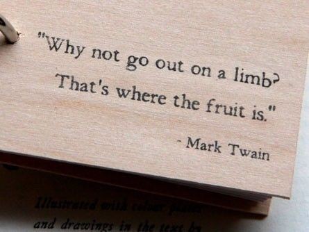 why not go out on a limb thats where the fruit is