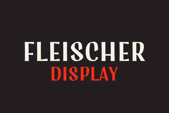 fleischer-display