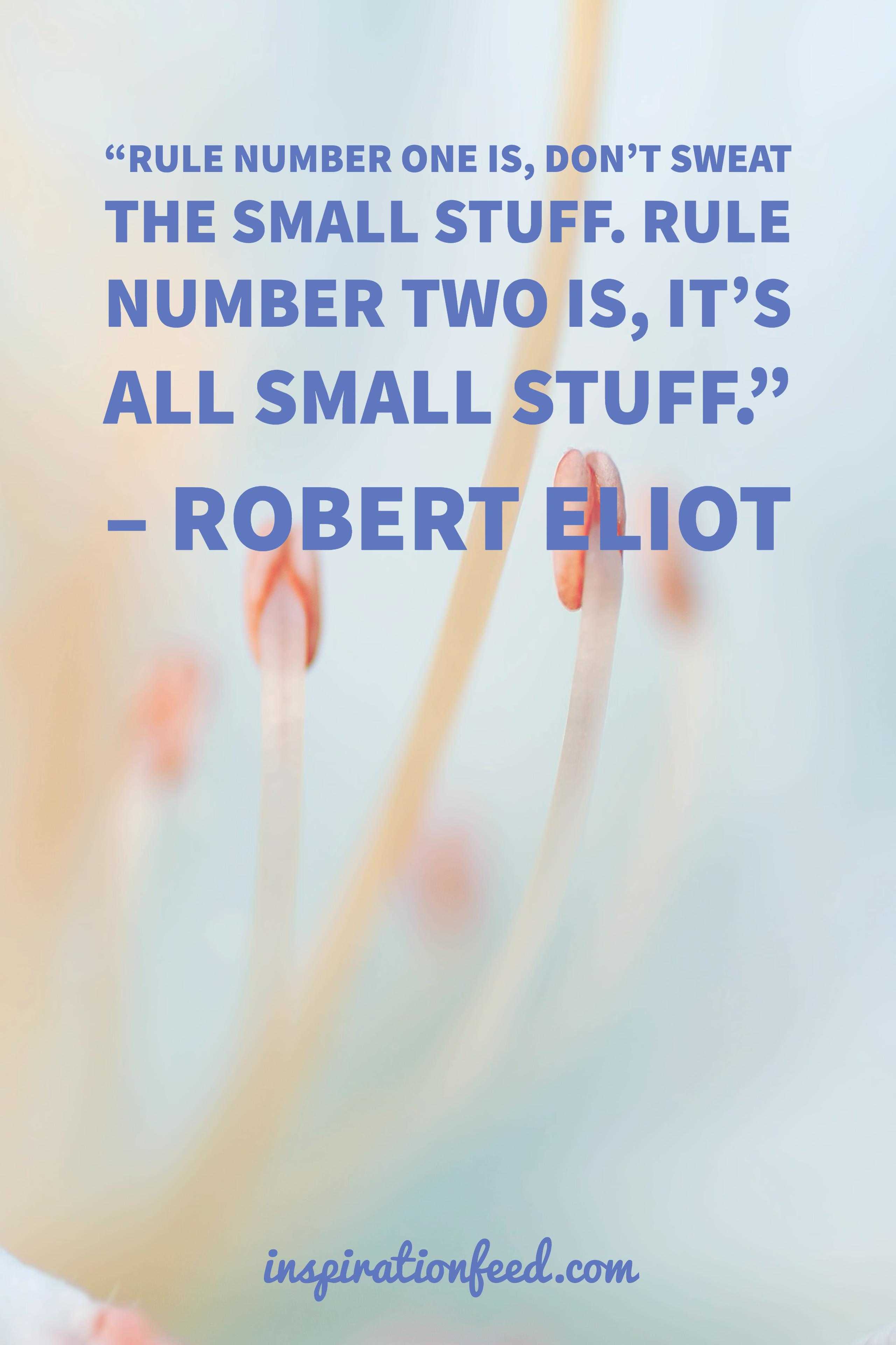 small-stuff-quote-by-robert-eliot