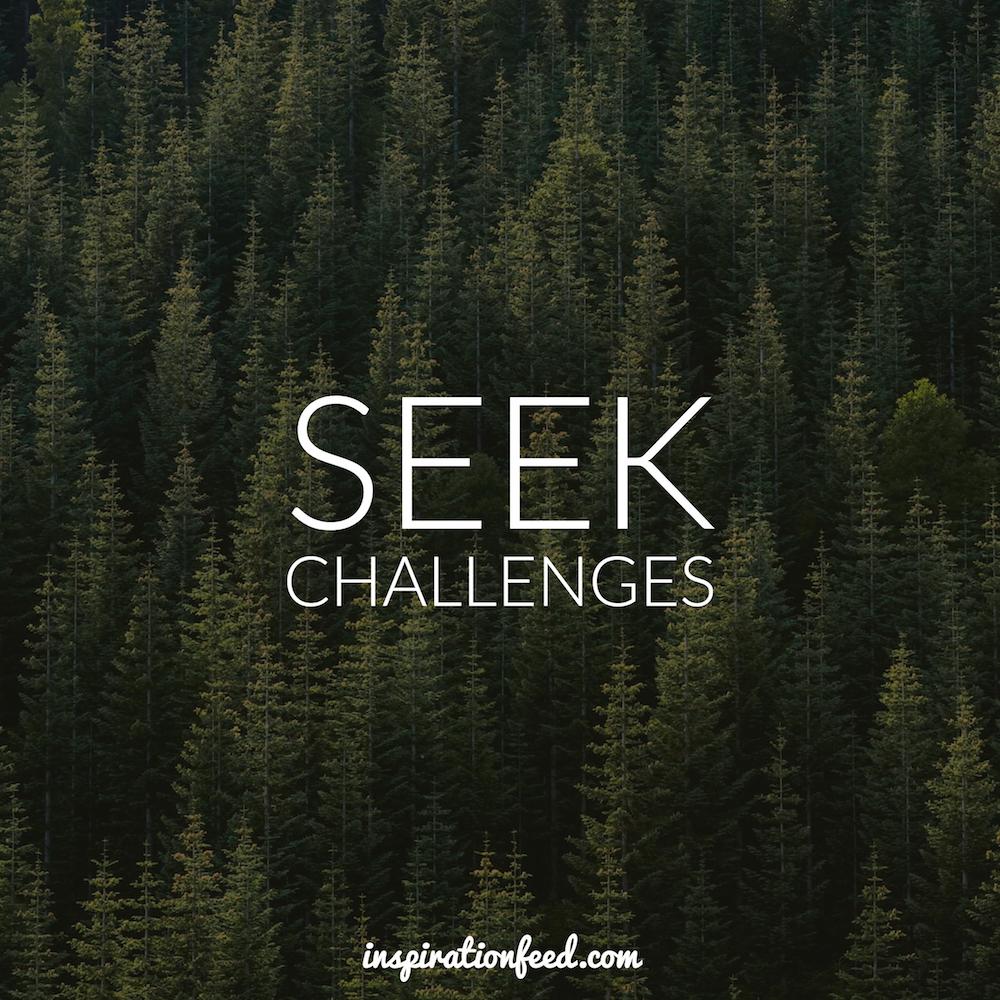 seek-challenges