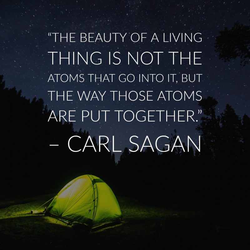 carl sagan quotes