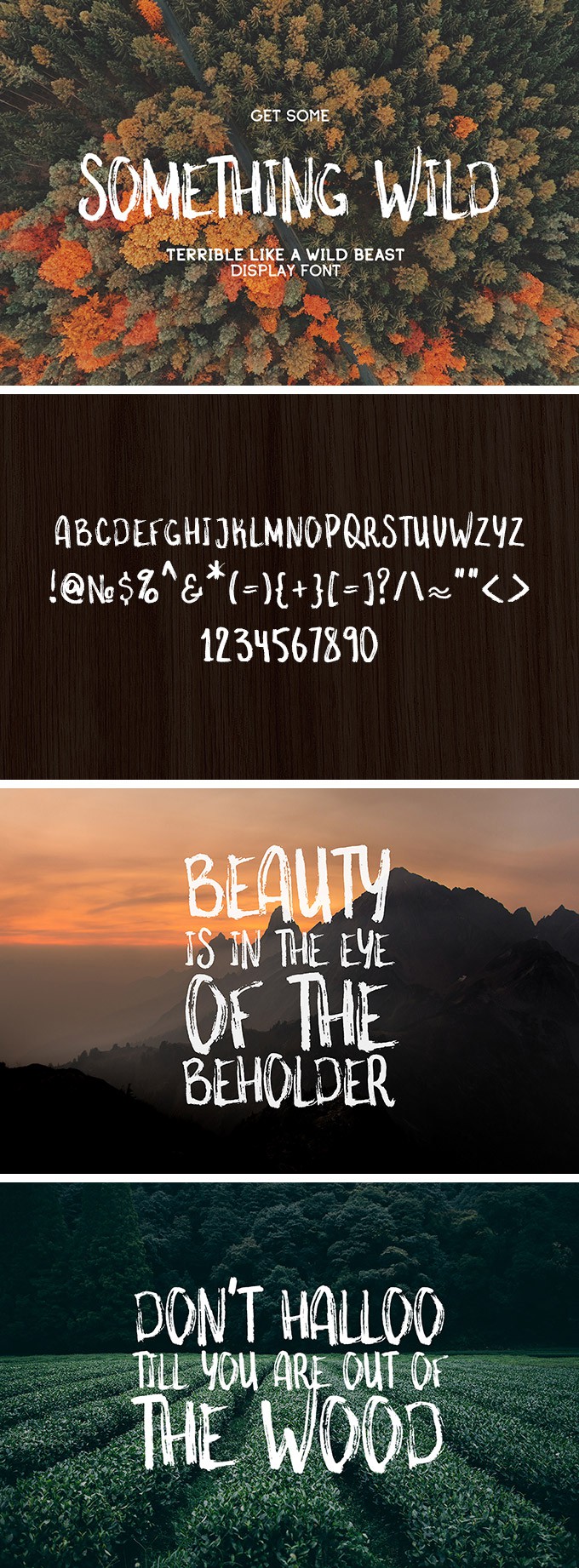 Something Wild Free Font