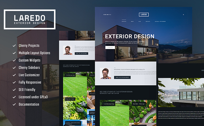 Laredo wordpress theme