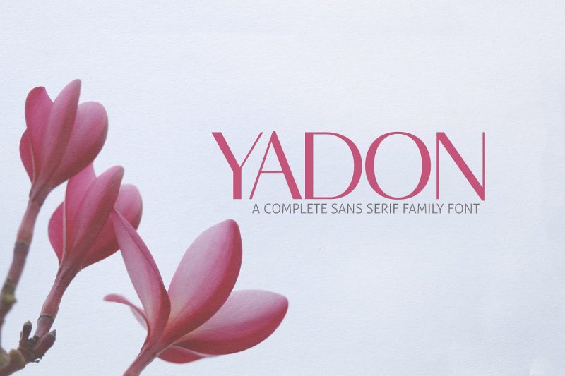 Yadon sans serif font is a set of 7 weights and it is good for making creative displays and it has art-deco touch. It’s a lovely and unique sans serif font in our store, allowing you to make each word look completely stylish! It Suits best for modern / clean designs, logos, headlines, banners and templates etc.