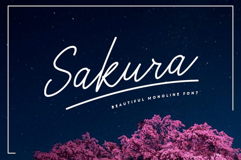  Sakura Font Set - Script Like Save Sakura Font Set - Script - 1 Sakura Font Set - Script - 2 Sakura Font Set - Script - 3 Sakura Font Set - Script - 4 Sakura Font Set - Script - 5 Sakura Font Set - Script - 6 Sakura is A clean & classy signature-style font set, perfect for creating authentic hand-lettered text quickly & easily. With exaggerated strokes and an extra bouncy baseline, Sakura has an unmistakable charm; perfect for logos, headers, company or personal branding, product packaging, cards & handwritten quotes.