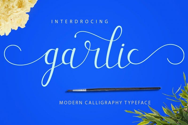 Garlic is a brush script that is beautiful and unique, it is a model of modern calligraphy typefaces, in combination with a calligraphy brush writing style.