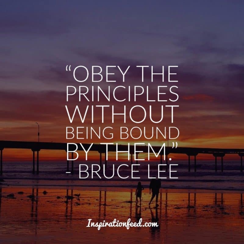 Bruce Lee Quotes