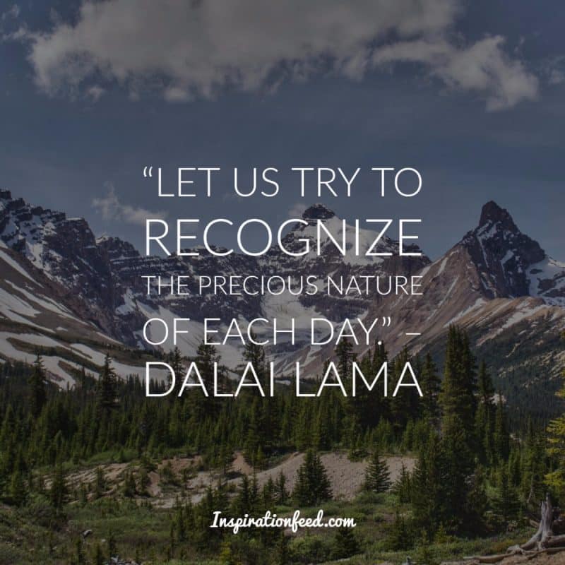 Dalai Lama Quotes