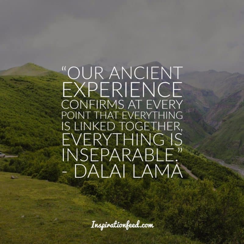 Dalai Lama Quotes