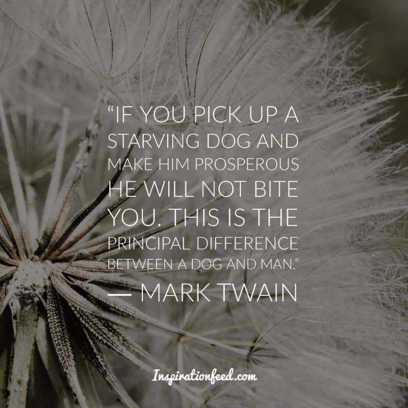 Mark Twain Quotes