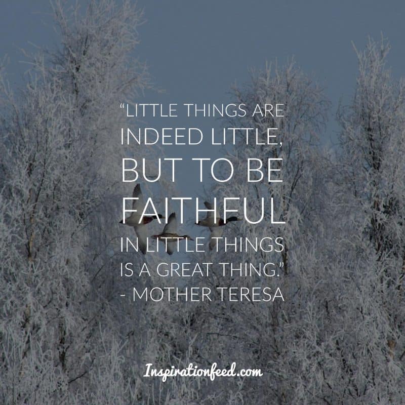 Mother Teresa Quotes