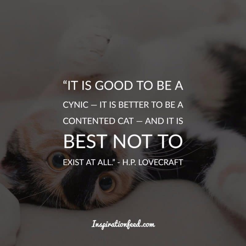 Cat Quotes