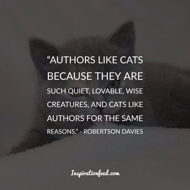 Cat Quotes