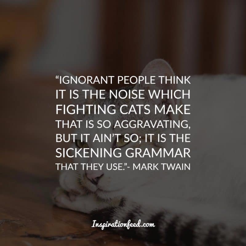 Cat Quotes