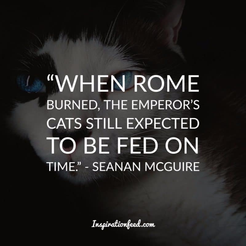 Cat Quotes