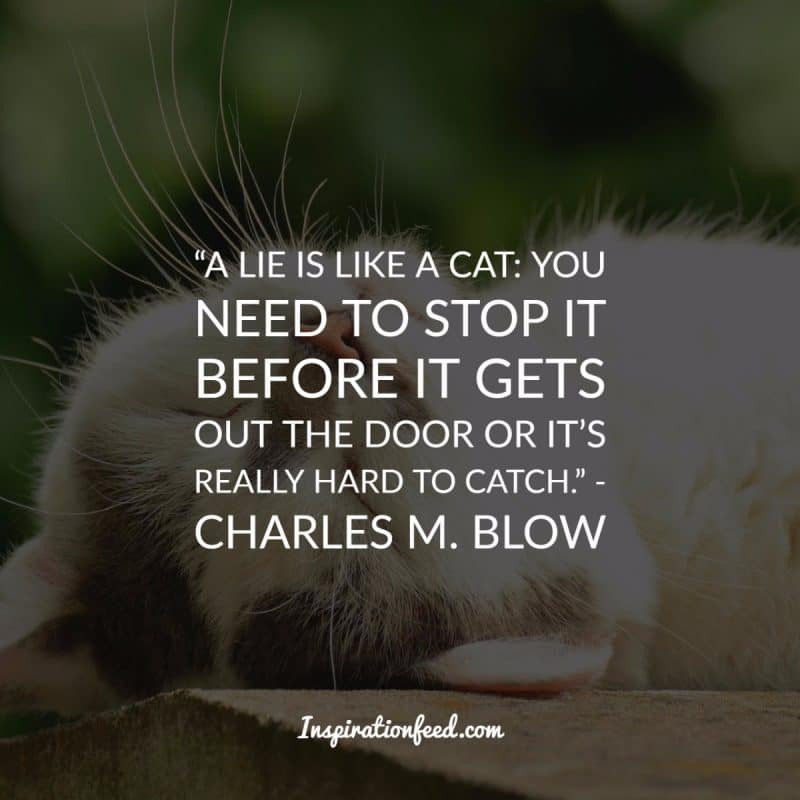 Cat Quotes