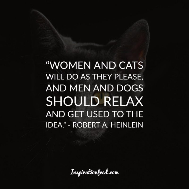 Cat Quotes