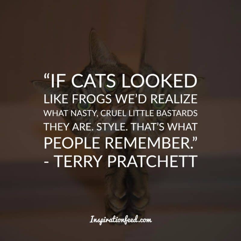 Cat Quotes