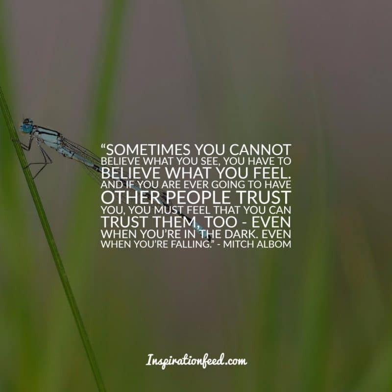 Quotes about Trust