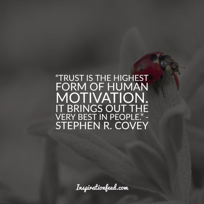 Quotes about Trust