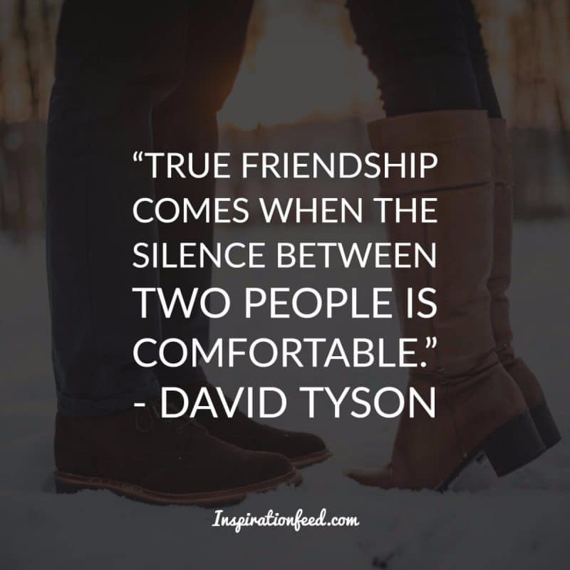 Friendship Quotes to Celebrate Your Friends