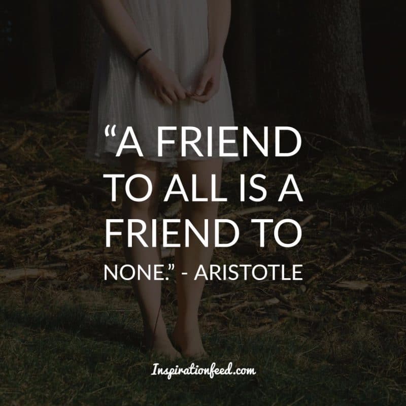 Friendship Quotes to Celebrate Your Friends