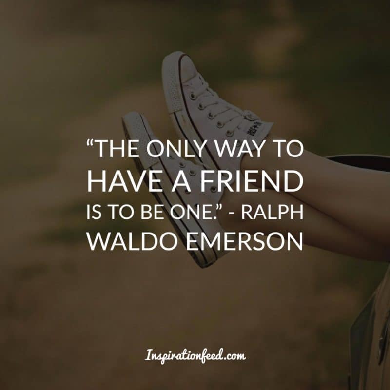 Friendship Quotes to Celebrate Your Friends