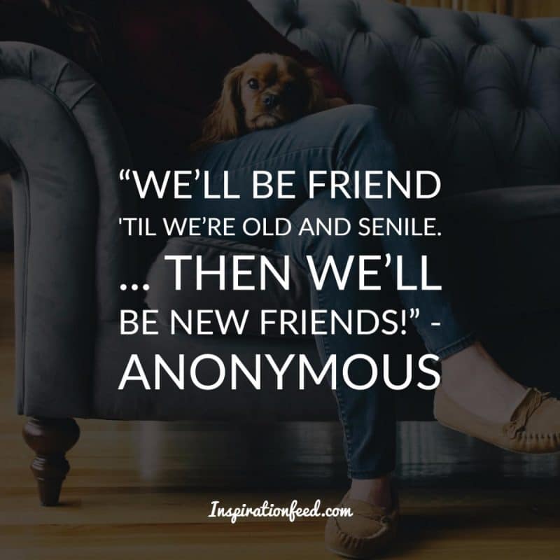 Friendship Quotes to Celebrate Your Friends