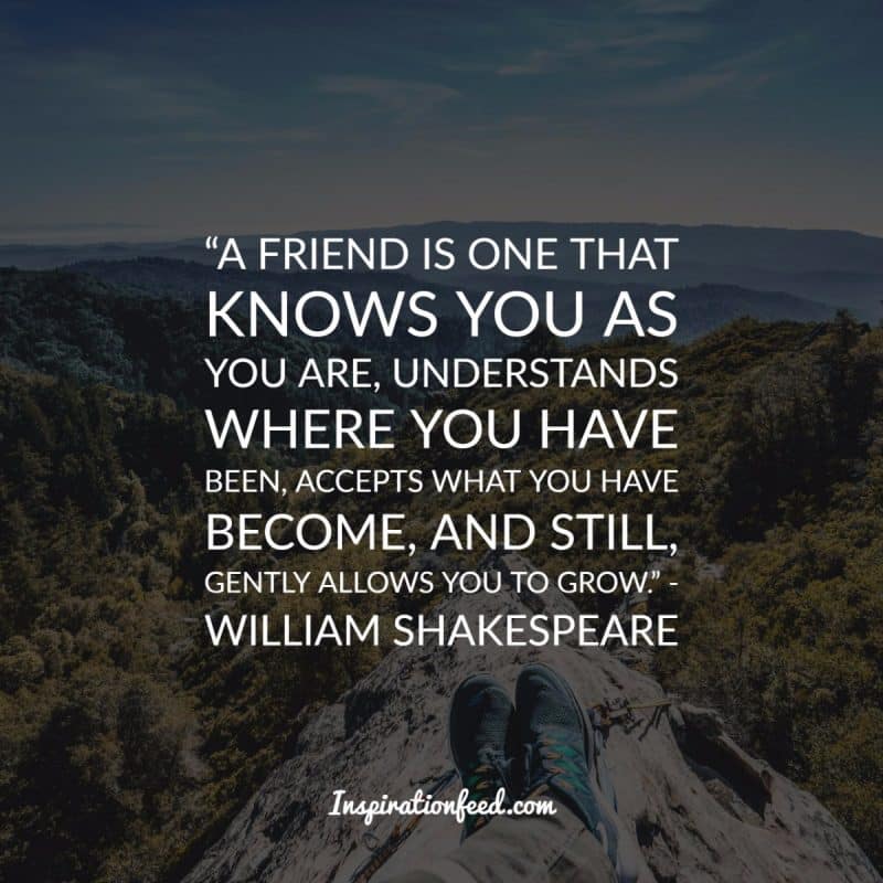 Friendship Quotes to Celebrate Your Friends