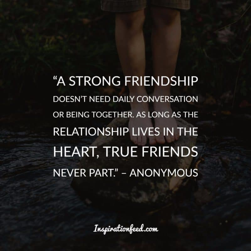 Friendship Quotes to Celebrate Your Friends