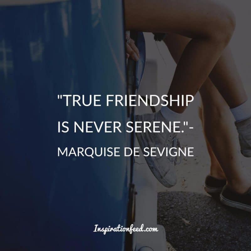 Friendship Quotes to Celebrate Your Friends