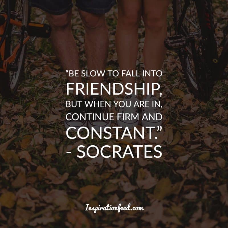 Friendship Quotes to Celebrate Your Friends