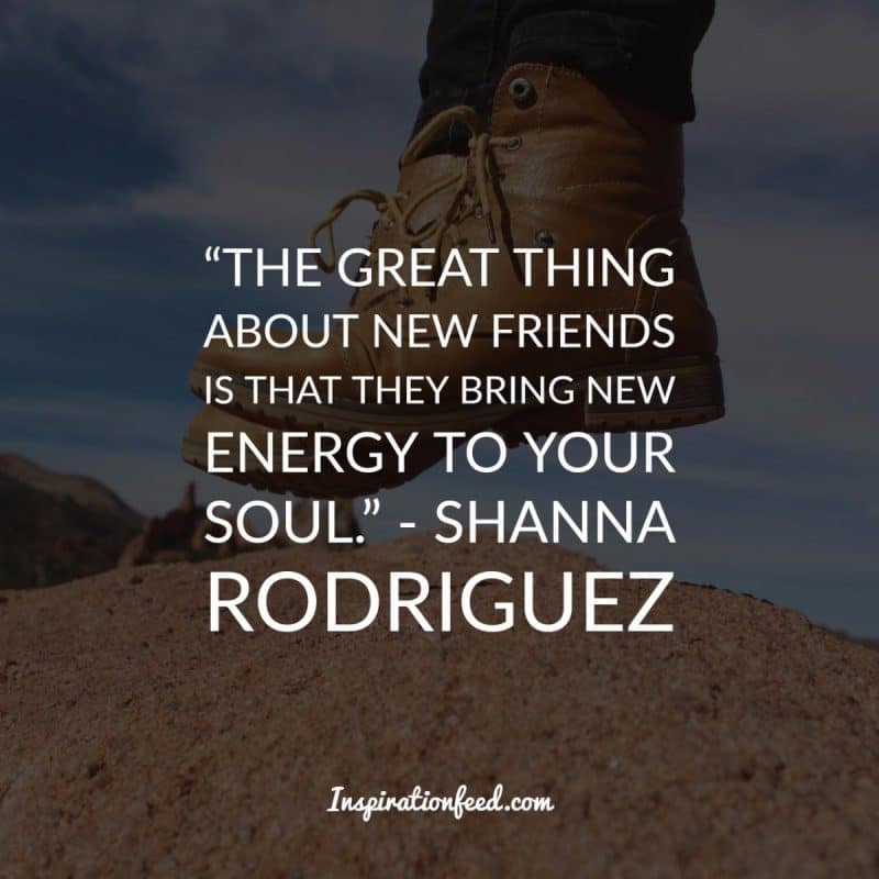 Friendship Quotes to Celebrate Your Friends