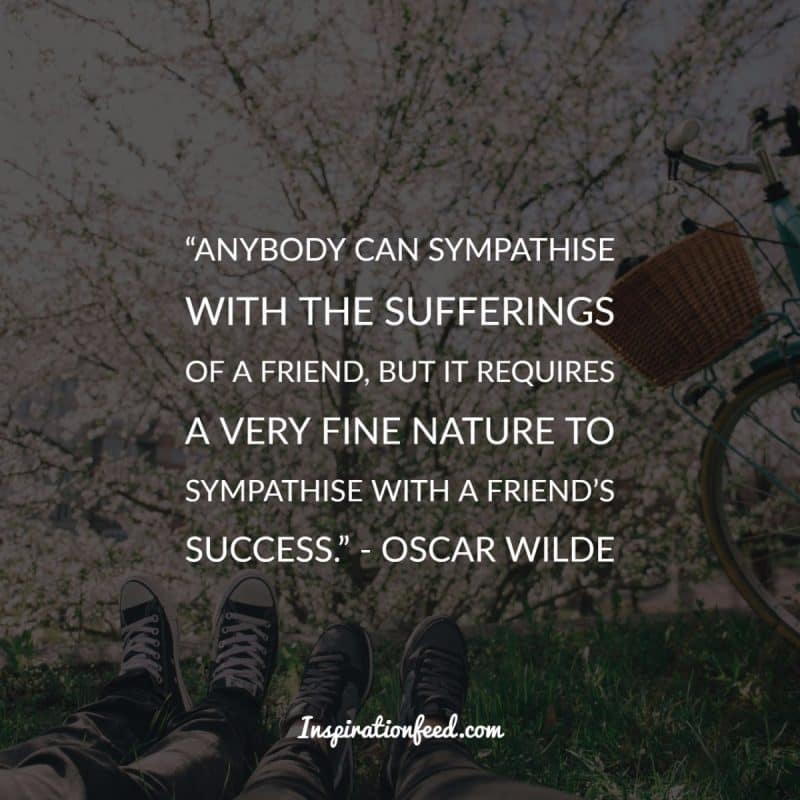 Friendship Quotes to Celebrate Your Friends