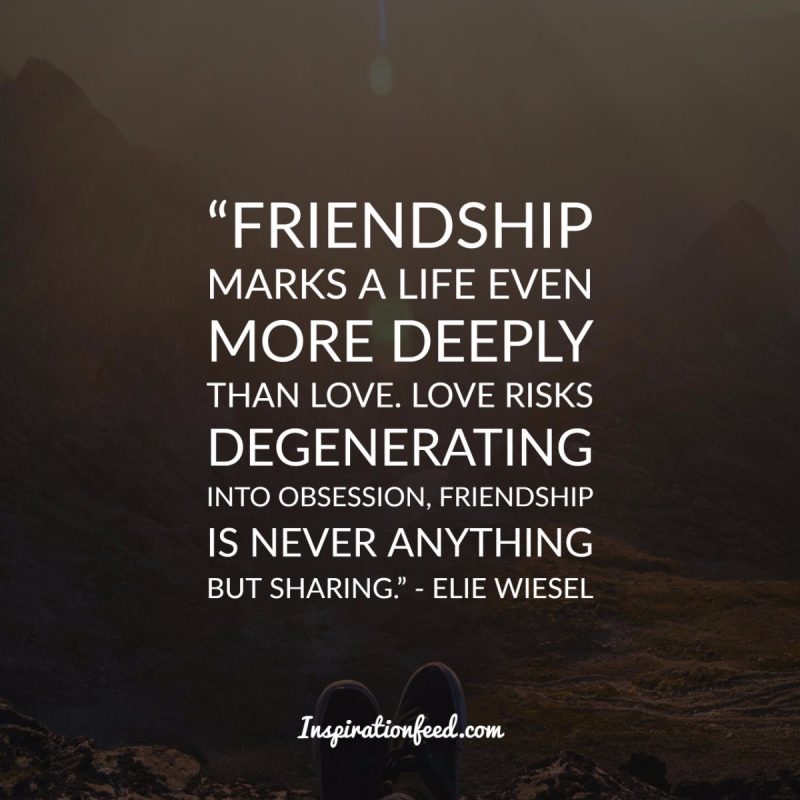 Friendship Quotes to Celebrate Your Friends