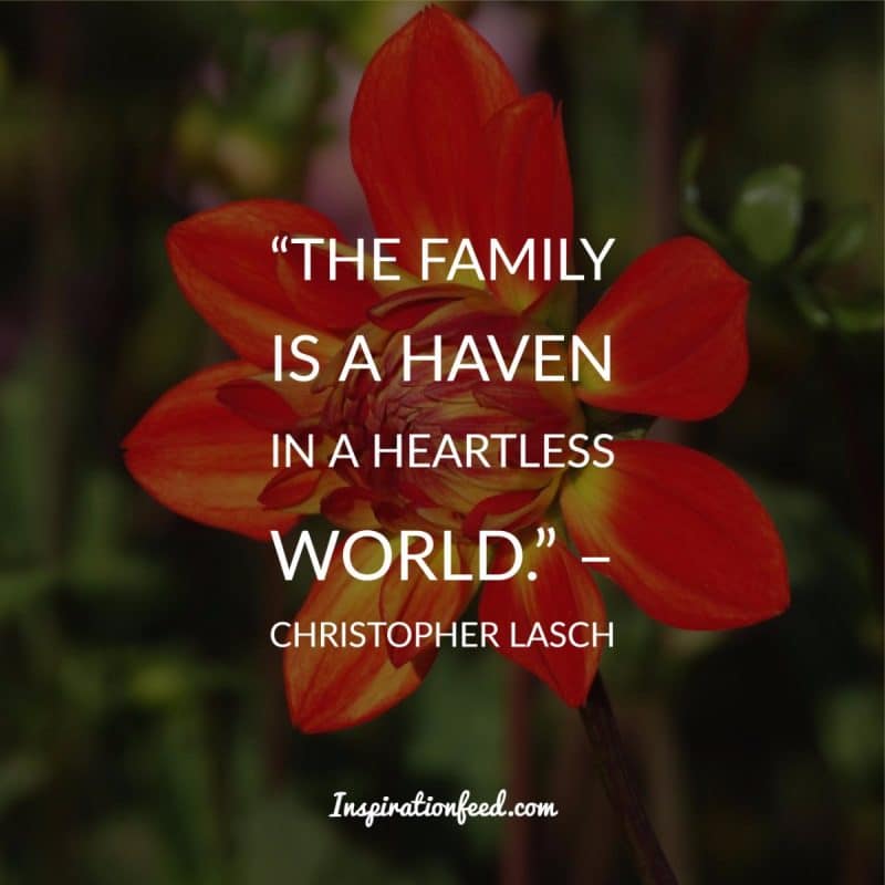 Quotes about Family