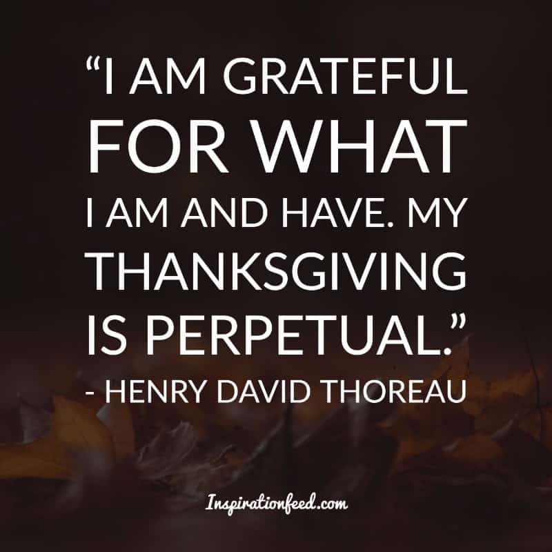 Thanksgiving Quotes