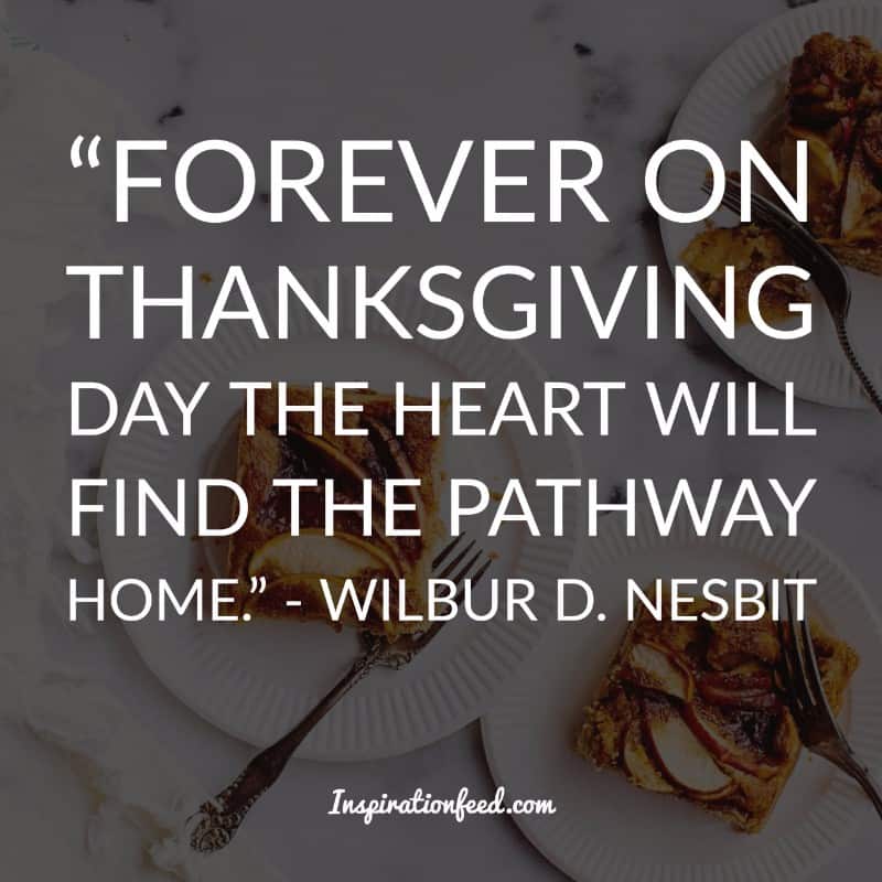 Thanksgiving Quotes