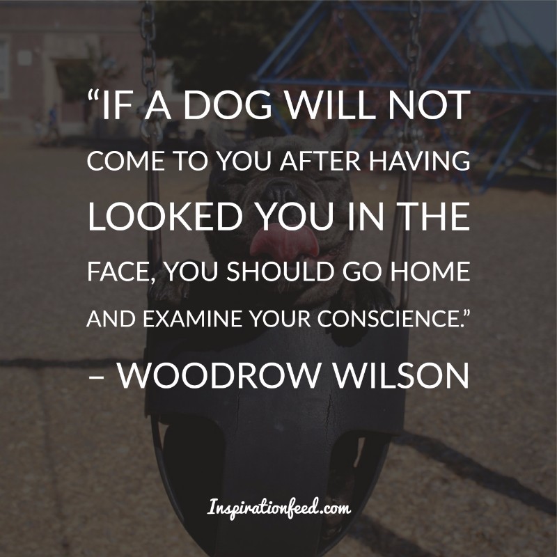 Dog Quotes and Sayings