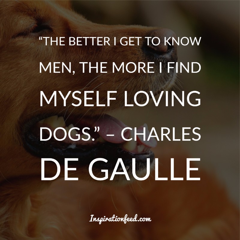 Dog Quotes and Sayings