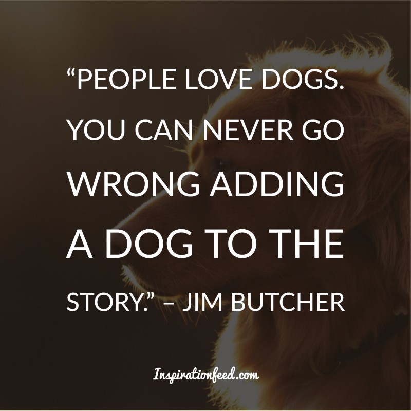 Dog Quotes and Sayings