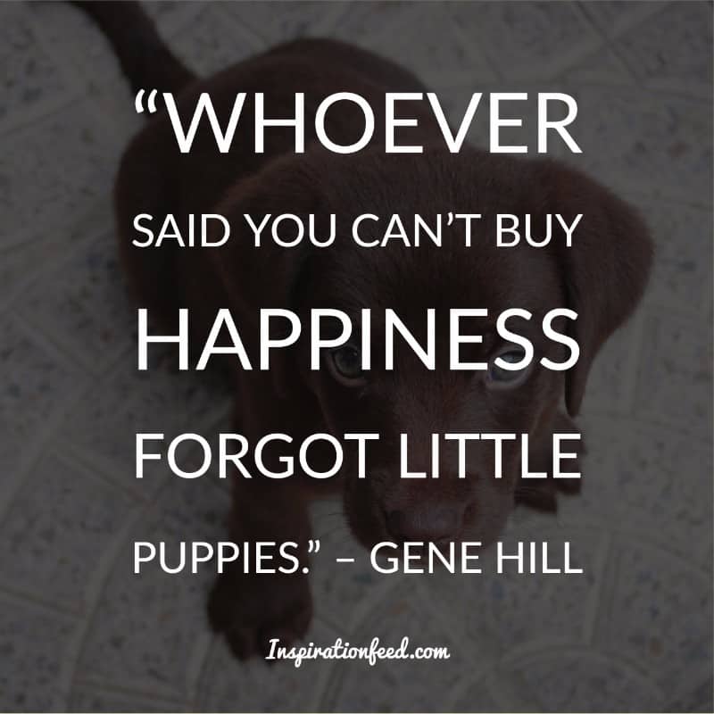 Dog Quotes and Sayings