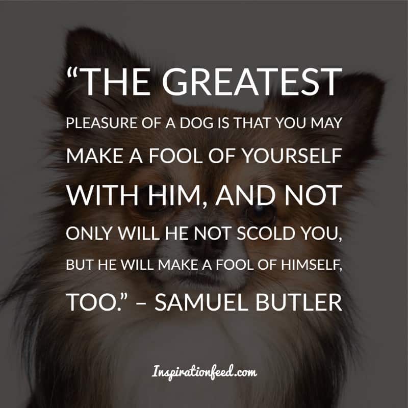 Dog Quotes and Sayings